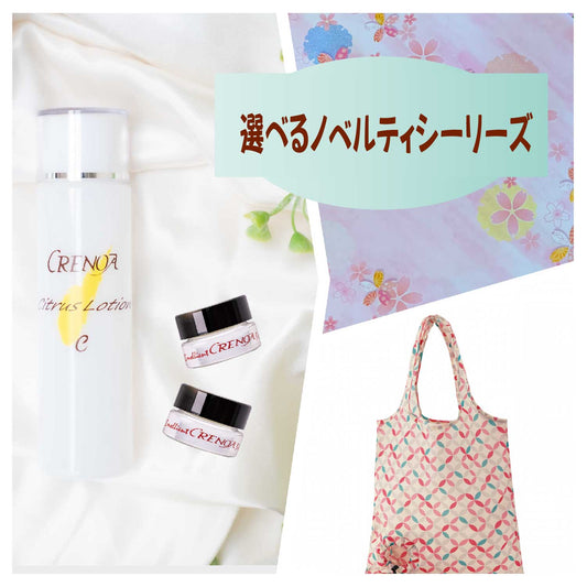 選べるノベルティセットE